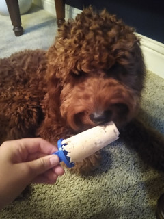 A picture of Dog Friendly Ice Cream.