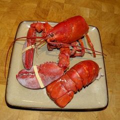 Steamed Lobster A picture of Steamed Lobster.