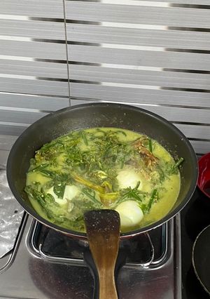 Foto resep Sayur gulai paku