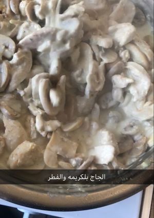 صورة لوصفة الدجاج بلكريمه