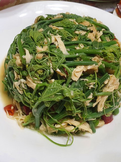 涼拌豆皮(腐竹)龍鬚菜(快速家常料理) 的食譜成品照片