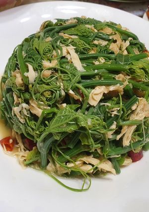 涼拌豆皮（腐竹）龍鬚菜（快速家常料理） 的食譜成品照片