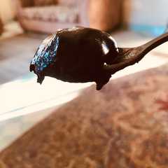 نوتيلا🍫-レシピのメイン写真