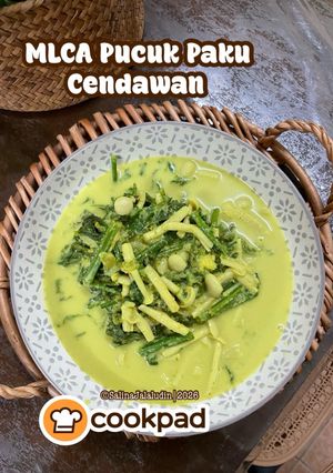 Gambar MLCA Pucuk Paku Cendawan