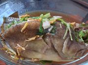 Gambar tim ikan kerapu