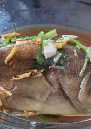 Foto resep Hongkong Style Steam Fish (kerapu)