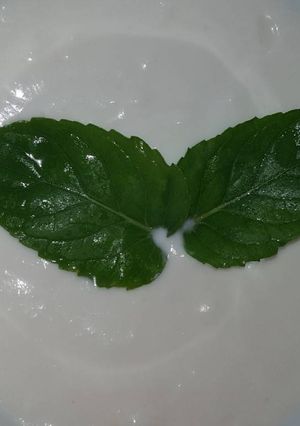 صورة لوصفة صوص الروب بالثوم