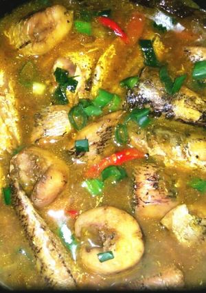 Foto resep Pindang ikan gabus/haruan