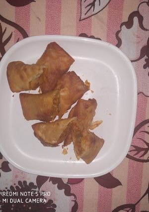 A picture of Spring roll.