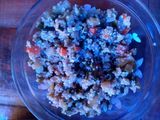 Quinoa combinada con verduras