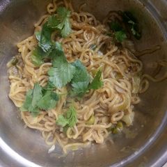 A picture of Noodles.