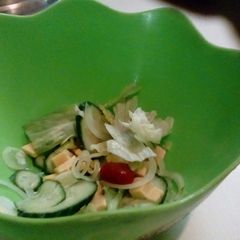 A picture of Green salad with cheese.