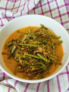 Foto resep Gulai Pakis