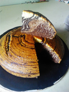 A picture of Zebra cake.