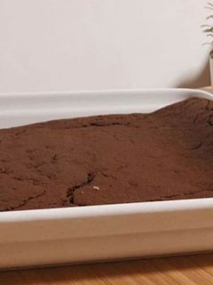 Foto de Tiramisu