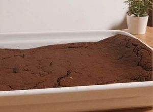 Foto de Tiramisu