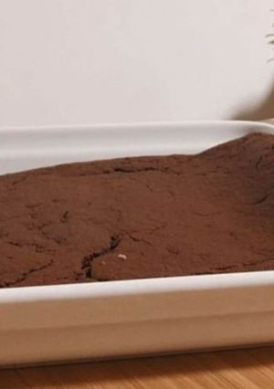 Foto de Tiramisu