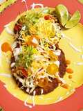 It's a what? It's red corn masa and chicken together and made into a tortilla. It's A Chick-A-Tilla!