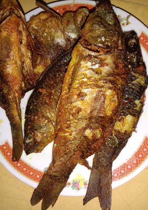 Foto resep Ikan mas goreng sambel cikur