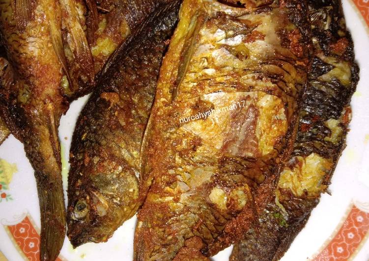 9 Resep: Ikan mas goreng sambel cikur Untuk Pemula!