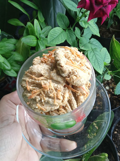 Foto resep Cookies kacang keju ala DAUN..(untuk diet)