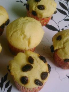 Foto resep Yoghurt Muffin