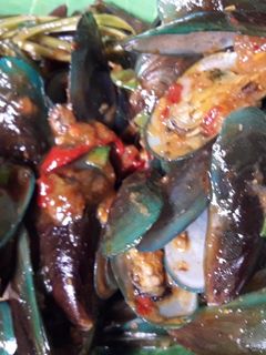 Foto resep Kerang Hijau Saos Padang