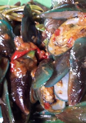 Foto resep Kerang Hijau Saos Padang