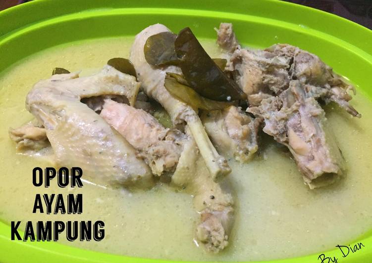 Resep Opor Ayam Kampung oleh Dian Arisa - Cookpad
