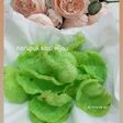 Kerupuk Nasi Hijau