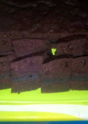 Foto resep Brownies kukus