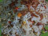 Nasgor Teri Manyusss