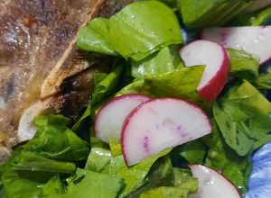 Una foto de Ensalada de rabanitos con radicheta