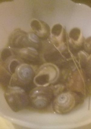 صورة لوصفة ببوش l'escargot
