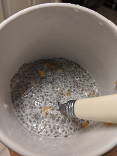 A picture of Peaches and coconut cream chia pudding.