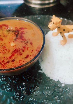 A picture of Kadhi Chawal.