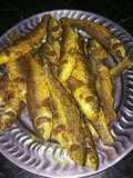 Small bata fish fry