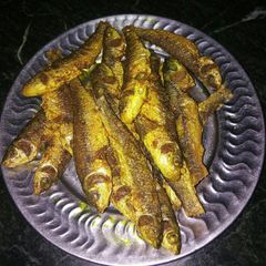 A picture of Small bata fish fry.