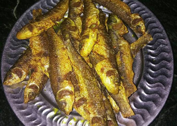 Small bata fish fry