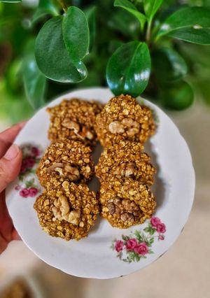 عکسی از دستور کوکی رژیمی پروتئینی خرما
