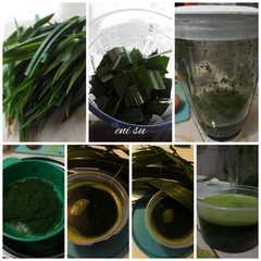 A picture of Endapan pandan.