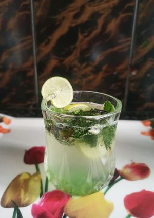 A picture of Mojito.