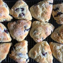 Cream Cheese & Blueberry Scones A picture of Cream Cheese & Blueberry Scones.