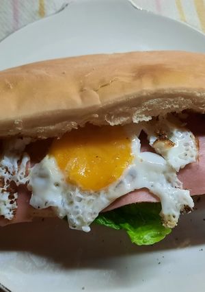 Una foto de Lomito Argentino