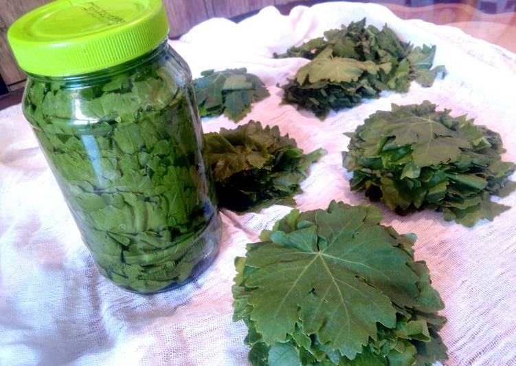 شوراب برگ مو دستور توسط نگاتیو - کوکپد