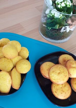 Une photo de Madeleines