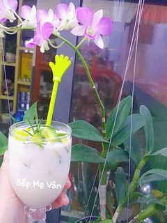Hình của món Bơ dằm sữa chua.
