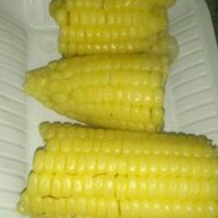 A picture of Boiled Maize.