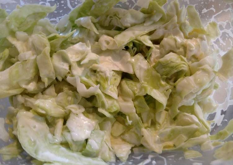 Recipe of Favorite Easy Coleslaw