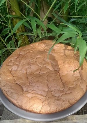 Une photo de Gâteau chocolat mascarpone
